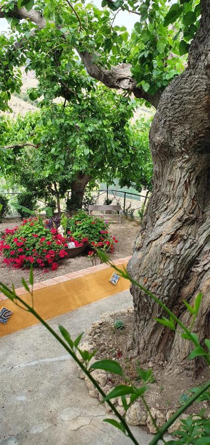 Casa Vacanze Fondaco Di Scillato Scillato  Bagian luar foto