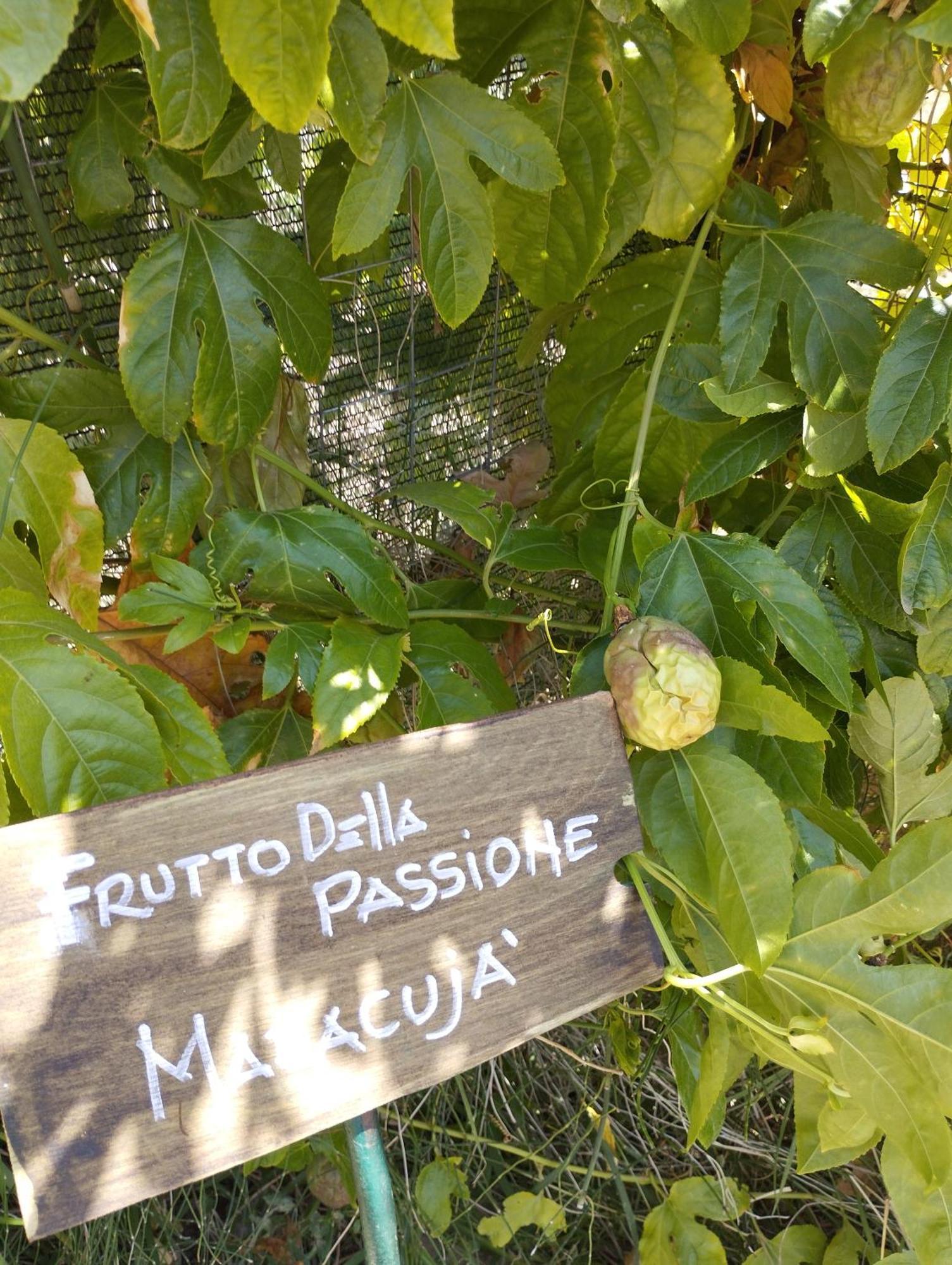 Casa Vacanze Fondaco Di Scillato Scillato  Bagian luar foto