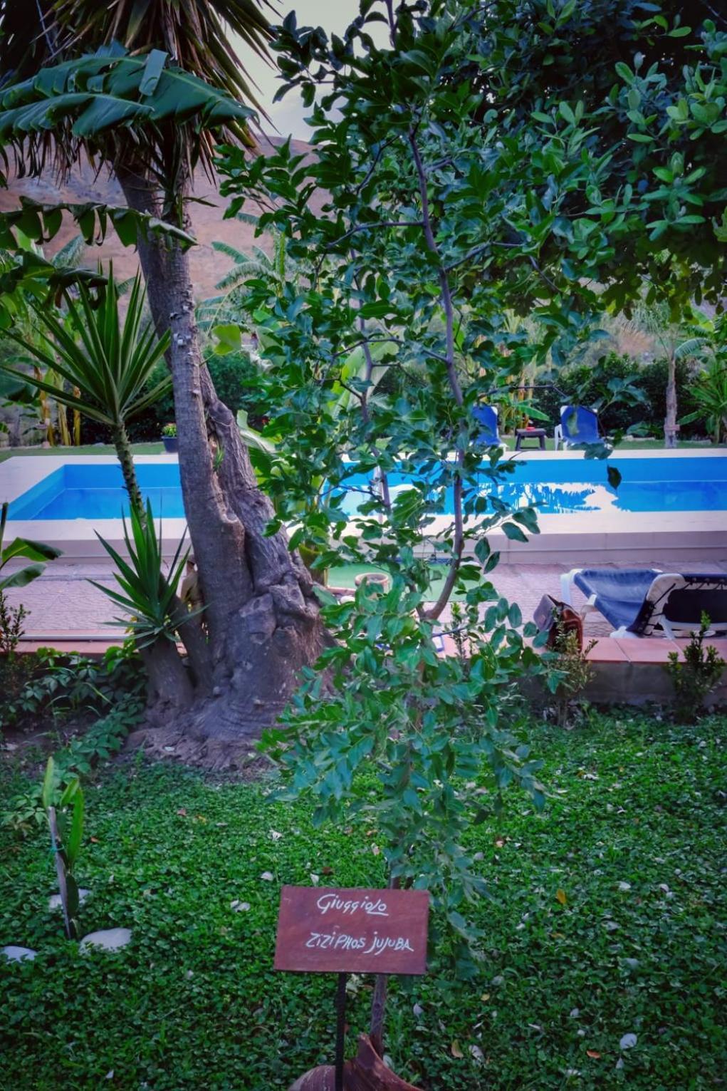 Casa Vacanze Fondaco Di Scillato Scillato  Bagian luar foto